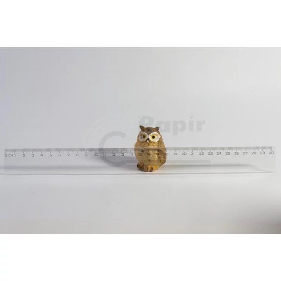 VONALZÓ EDUCA 30CM-ES